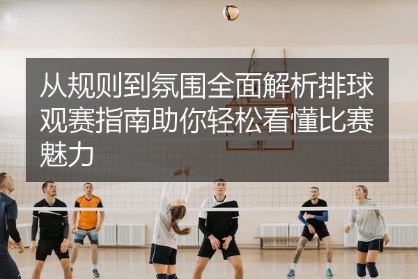 从规则到氛围全面解析排球观赛指南助你轻松看懂比赛魅力