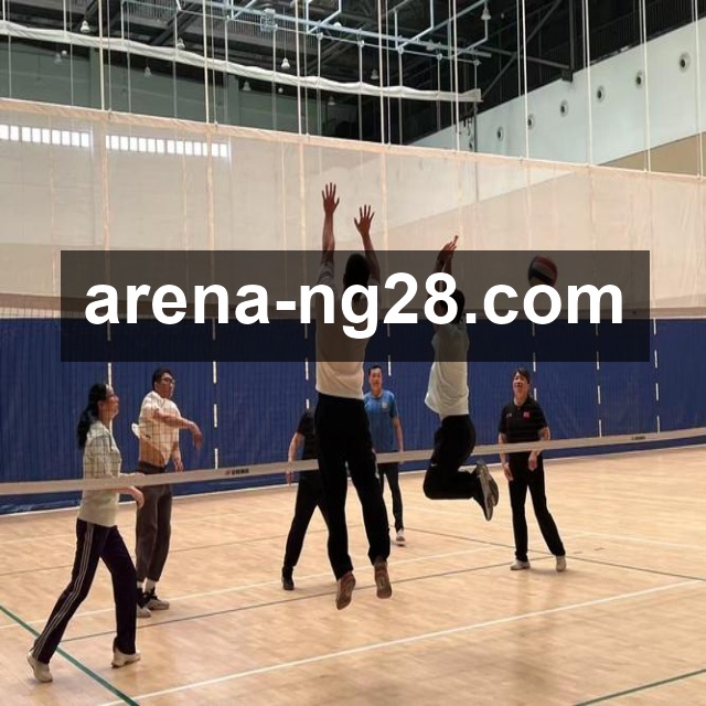 欧洲乒乓球16强杯女单冠军回顾及历届精彩表现分析